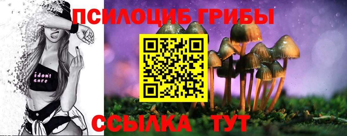 Псилоцибиновые грибы ЛСД Городец