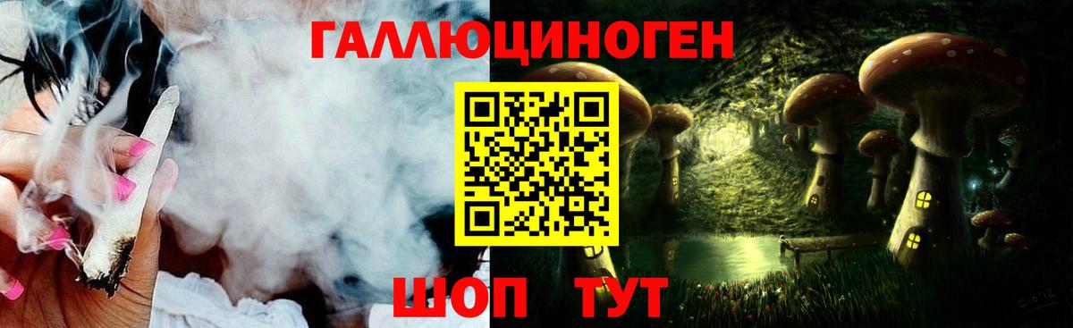 наркотики  Вход с VPN  Городец  Псилоцибиновые грибы мицелий 